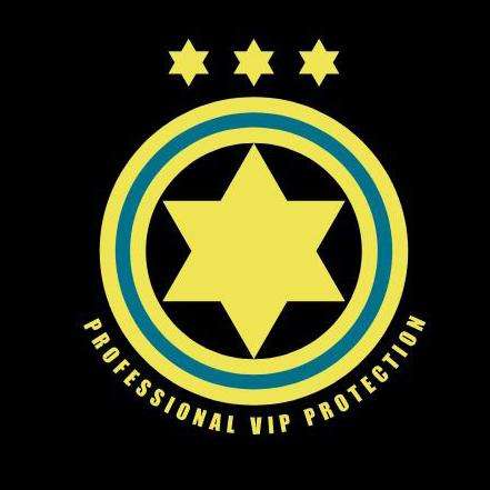 PROFESSIONAL VIP PROTECTION logo